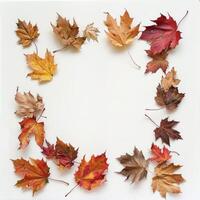 Autumn Leaves Frame on White Background Highlighting Vibrant Fall Colors photo