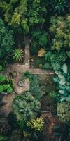 Aerial View of Lush Green Garden with Pathways and Diverse Plant Life photo