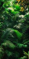 Minimalism in vibrant rainforest foliage. photo