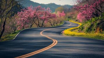 Open space above a winding road bordered by vibrant spring blossoms photo