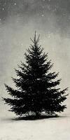 Silhouette of Christmas tree in snow photo