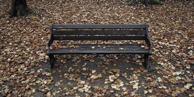 Rustic Wooden Park Bench Surrounded by Autumn Leaves in a Serene Forest Setting photo