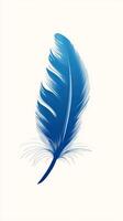 Elegant Blue Feather Illustration on a Minimalist White Background for Creative Design Projects photo