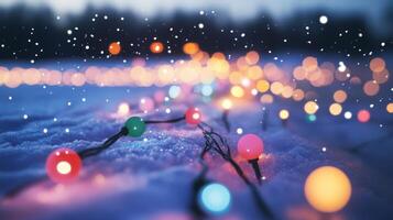 Festive String Lights on Snowy Ground with Bokeh Effect photo