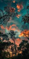 Captivating silhouette of jungle treetops against a radiant sky. photo