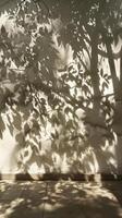 Creative shadow pattern on wall photo