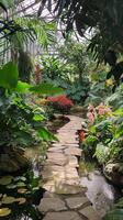 Serene Botanical Garden Pathway with Lush Greenery and Colorful Flower photo