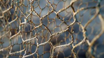 Close-Up of Worn Fishing Net with Blurred Background in Natural Light photo