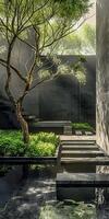 Modern Zen Garden with Minimalist Design Featuring Tranquil Water Elements photo