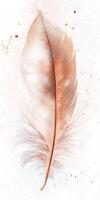 Elegant Feather on Light Background Showcasing Delicate Texture photo