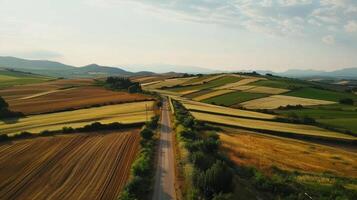 Aerial view of a road trip countryside with patchwork fields photo