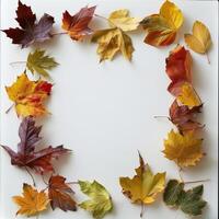 Autumn Leaves Frame on White Background Featuring Vibrant Fall Foliage in Various Colors and Shapes photo