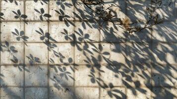 Conceptual shadow on wall pattern photo