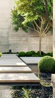 Modern Minimalist Garden with Stone Pathway and Greenery in Sunlit Outdoor Space photo