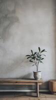 Minimalist Interior with Potted Plant on Wooden Bench Against Textured Gray Wall photo
