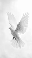 Bright white background serves as a symbol of integrity and authenticity photo