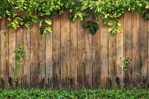 Rustic Wooden Fence with Green Foliage and Grass in a Natural Outdoor Setting photo