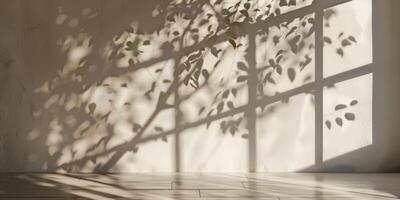 Wall shadow in creative style photo