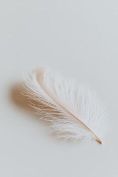 Delicate White Feather on Soft Beige Background Capturing Minimalist Elegance and Tranquility photo