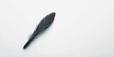 Elegant Black Feather Quill Pen on Minimalist White Background for Writing and Creativity Concepts photo