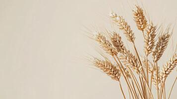 Golden Wheat Ears Against a Soft Beige Background photo