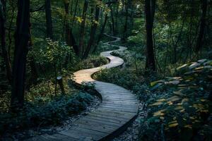 Fusion of a therapist's guidance and a winding path, evoking progress. photo