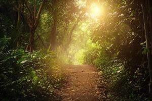 Overlay of a patient's journey and a lush forest, symbolizing vitality. photo