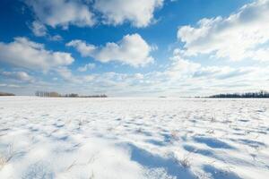 Vast Snow-Covered Field Under a Clear Blue Sky with Fluffy Clouds photo