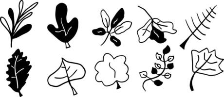 Simple Leaf Doodle Set for Creative Botanical Projects vector