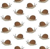 Seamless pattern of hand drawn sketch snail vector