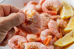 Tiger king prawns cooked and seasoned with lemon, close up in a man's fingers photo