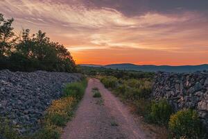 Incredible sunrise in an olive grove on the island of Krk on the way to Vrbnik photo
