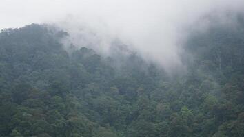 morning view of rice fields and villages on the hills photo