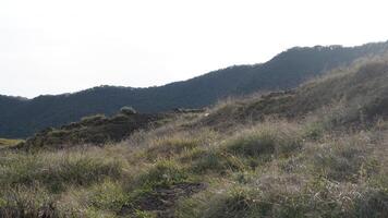 Photo of a trip to Mount, adventure together at the Surya square. National Park in West Java, 16 October 2022