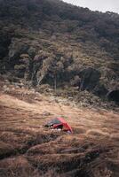 Photo of a trip to Mount Gede Pangrango, camping together at the Surya Kencana square. National Park in West Java, Cianjur, 06 September 2022
