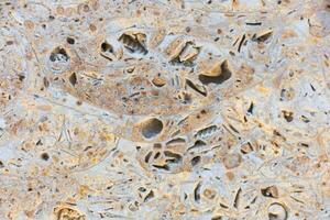 Photo Stone veined pattern useful as a background or texture