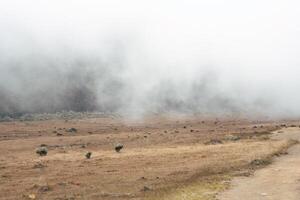 Photo of a trip to Mount Gede Pangrango, hiking adventure along the trails at the Surya Kencana square. National Park in West Java, Cianjur, 24 July 2023