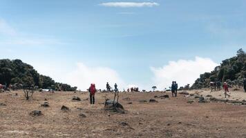 trip to the top of Mount Gede Pangrango, for camping together, National Park in West Java, Cianjur, July 21, 2019 photo