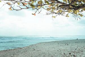 Cianjur, West Java. September 18, 2021. The atmosphere of tourists is on vacation on the beach with blue sea and clear sky photo