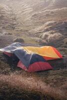 Photo of a trip to Mount Gede Pangrango, camping together at the Surya Kencana square. National Park in West Java, Cianjur, 06 September 2022