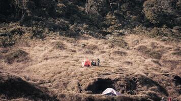 Photo of a trip to Mount Gede Pangrango, camping together at the Surya Kencana square. National Park in West Java, Cianjur, 06 September 2022