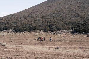 Photo of a trip to Mount Gede Pangrango, camping together at the Surya Kencana square. National Park in West Java, Cianjur, 06 September 2022