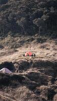 Photo of a trip to Mount Gede Pangrango, camping together at the Surya Kencana square. National Park in West Java, Cianjur, 06 September 2022