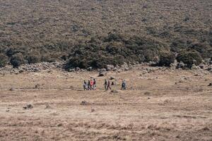 Photo of a trip to Mount Gede Pangrango, camping together at the Surya Kencana square. National Park in West Java, Cianjur, 06 September 2022