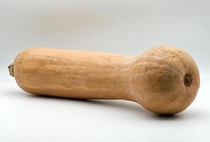 Fresh butternut squash is presented against a plain white background. photo