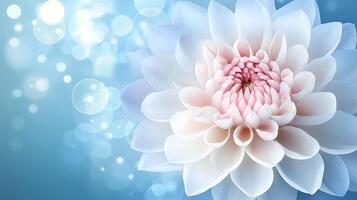 Hyper-realistic floral photography featuring a close-up bloom and high-resolution bokeh effects photo