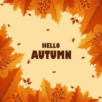 autumn leaves background with the word hello autumn vector