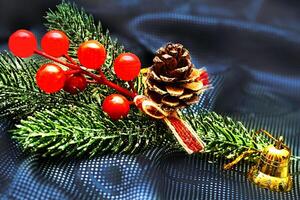 New Year. Branch of Christmas trees with cones,berries.Bell photo