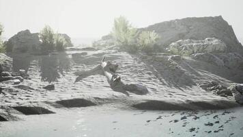 A tranquil Indonesian landscape with gentle waters and rocky terrain at dawn video
