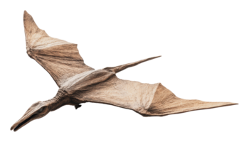 Pterosaur model soaring through the air png